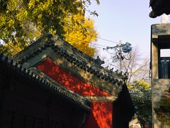 -嵩祝寺及智珠寺