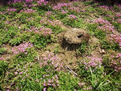 -美家乐农庄·露营·团建(大治路店)