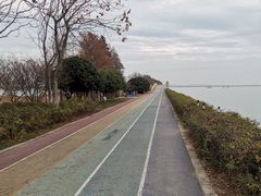 -贡湖湾湿地公园