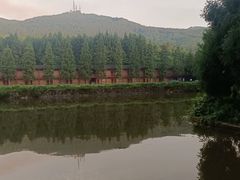 -武陵山森林公园