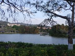 -厦门大学(思明校区)