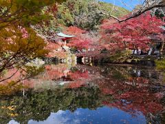 -醍醐寺