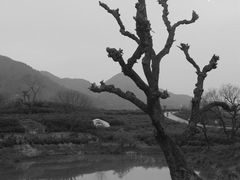 -新安江山水画廊风景区