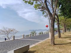 -深圳湾公园(南山区)