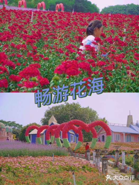 松山湖南湖湾露营营地图片