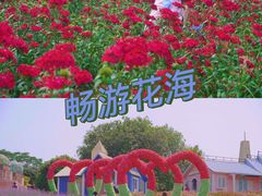 -松山湖南湖湾露营营地