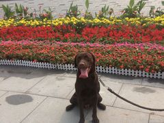 -永定河休闲森林公园