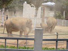 -石家庄市动物园