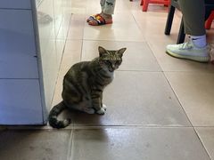 -熊仔屋(吉祥苑小区店)