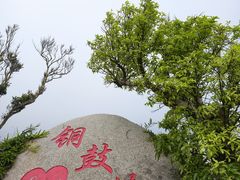 -海南铜鼓岭景区
