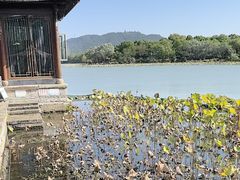 -湘湖大院(越王路店)