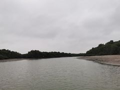 -东寨港红树林旅游区