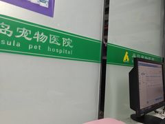 -半岛宠物医院24小时(科华中路店)
