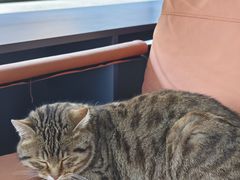 -炊烟餐厅