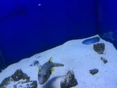 -多彩贵州城极地海洋世界