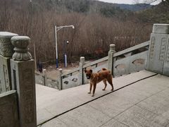 -南京市无想山景区