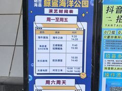 -烟台海昌鲸鲨海洋公园