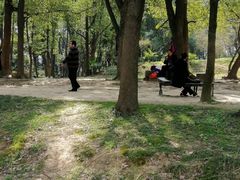 -蜀冈西峰生态公园