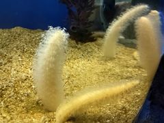 -海合安青岛极地海洋公园