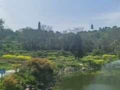 -巢湖姥山岛