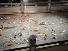 -四季民福烤鸭店(前门店)