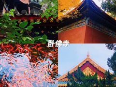 -国家植物园