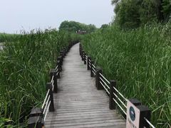 -太湖湖滨国家湿地公园-停车场