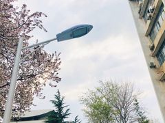 -西安理工大学(金花校区)