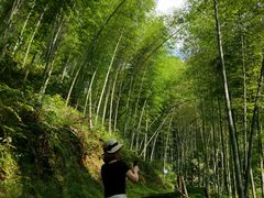 -千泷沟大瀑布旅游区