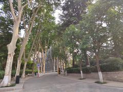 -西安市长乐公园