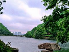 -桃花岭景区