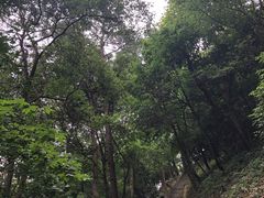 -严子陵钓台(富春江小三峡)