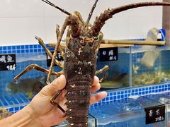 -双月饭店·20年老字号(新村店)