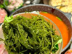 -万达广场(宁德蕉城店)
