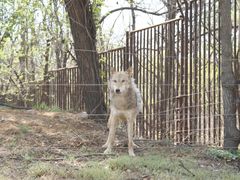 -秦皇岛野生动物园