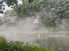 -广州长隆飞鸟乐园