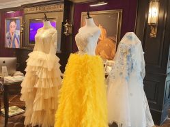 点击看大图 -鼎极摄影(蓝色港湾店)