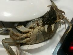-鼎香缘海鲜自助火锅烤肉(锦辉购物广场店)