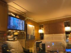 -拉斯维加斯永利酒店