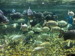 -成都浩海立方海洋公园