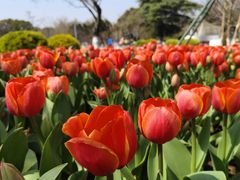 -玄武湖景区-情侣园游乐场