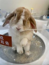 -Moni星球萌宠·小马宝莉·灵蛇·高端高阶全萌宠互动体验俱乐部(红豆国际广场店)