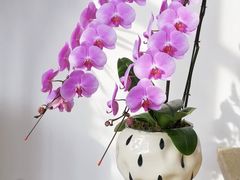 -F.Story 花和故事(新天地店)