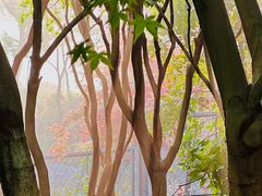 -桃花岛景观公园