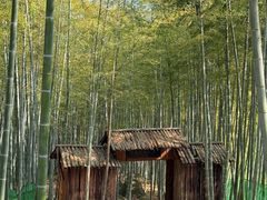 -众神白水涧景区