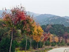 -北京西山国家森林公园