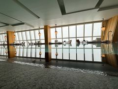 -上海柏悦酒店