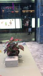 -清颜专业祛痘连锁店