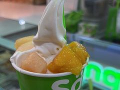 -Salud撒露欧洲冻酸奶(五道口购物中心店)