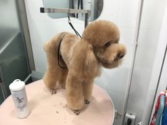 -宠颐生中康贝怡动物医院